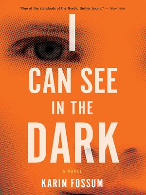 cover image of I Can See In the Dark